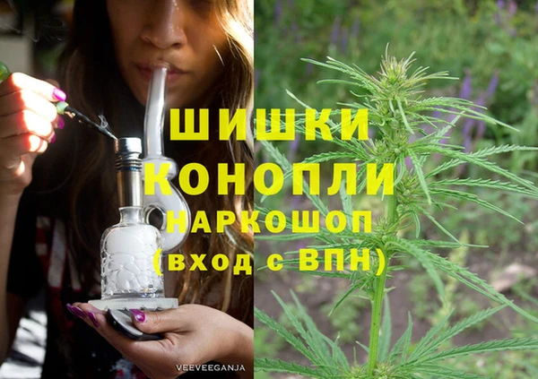 PSILOCYBIN Гусиноозёрск