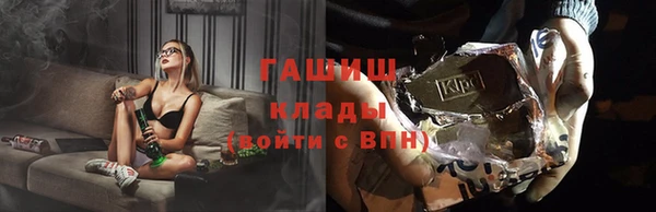 стаф Гусев