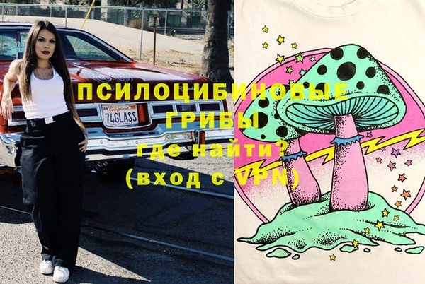 метадон Гусь-Хрустальный