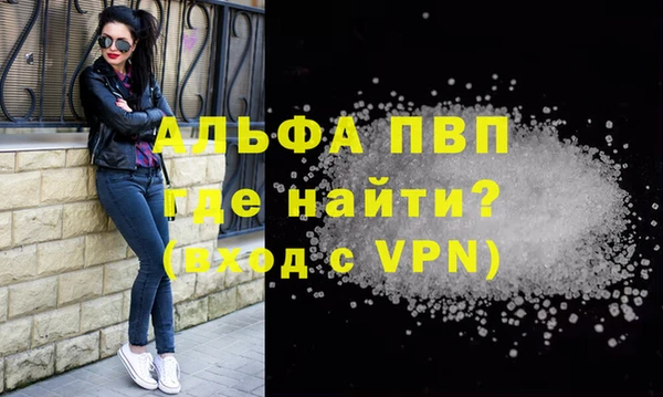 PSILOCYBIN Гусиноозёрск