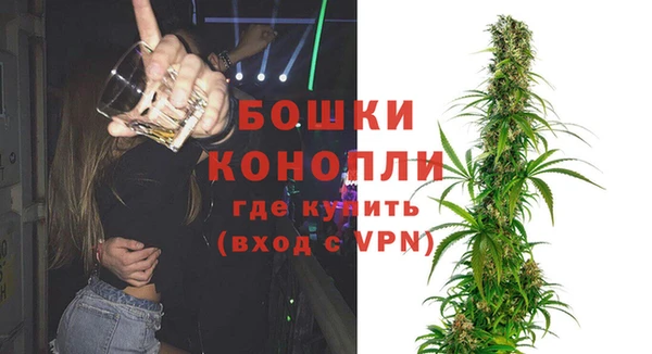 стаф Гусев
