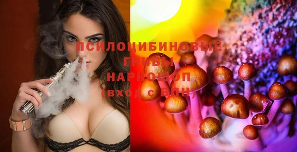 PSILOCYBIN Гусиноозёрск